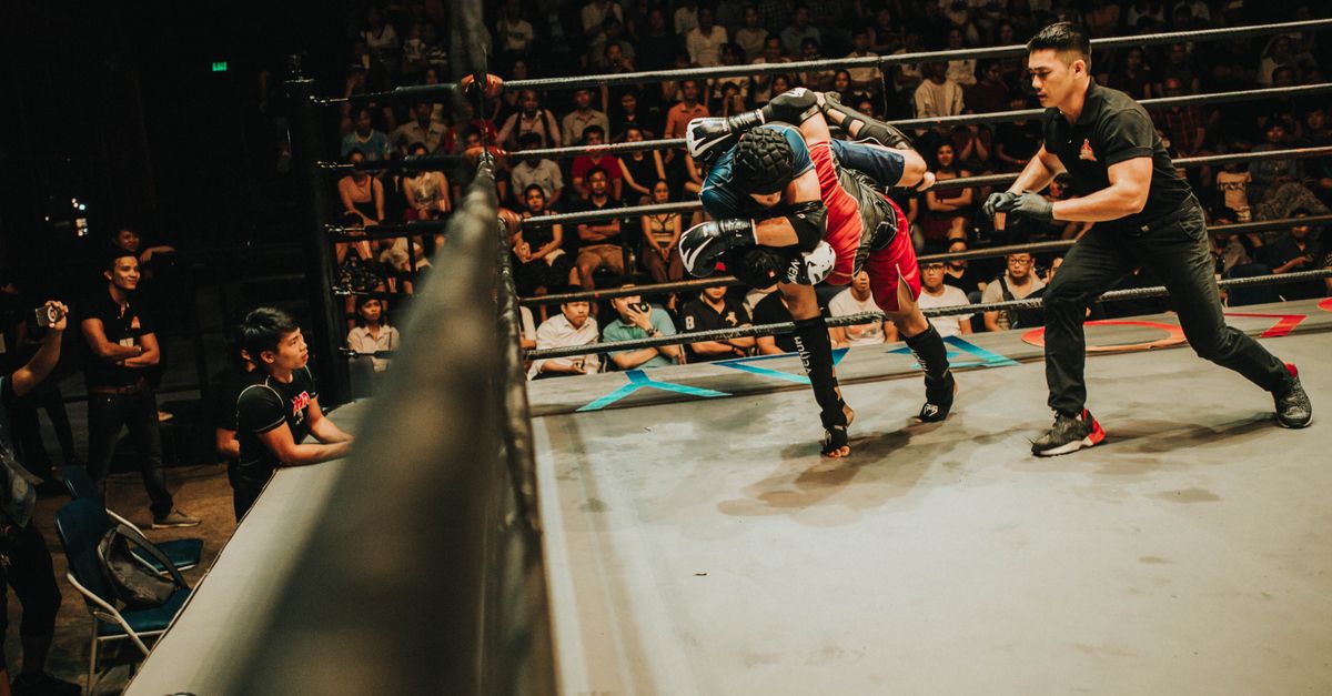 Two MMA fighters mid-takedown in a roped ring as the referee moves in and a crowd watches