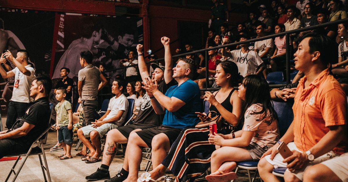 Fans in ringside seats cheer at a live fight, one man with both fists raised